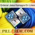 Ordenar Jalea Kamagra En Línea viagra5